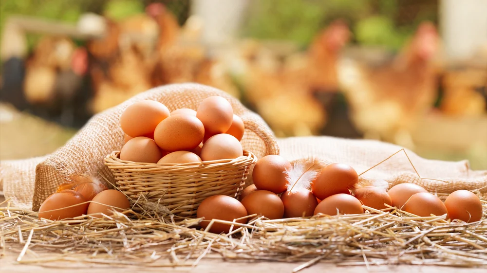 1 tuần nên ăn mấy quả trứng