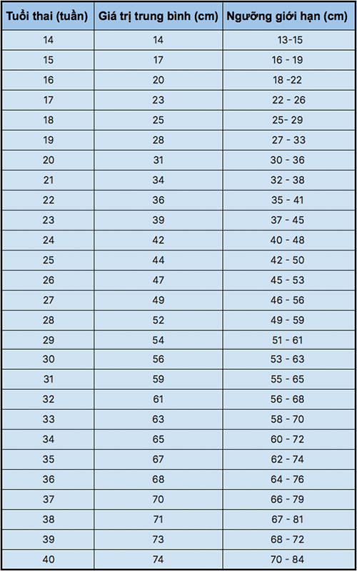 bảng chiều dài xương đùi