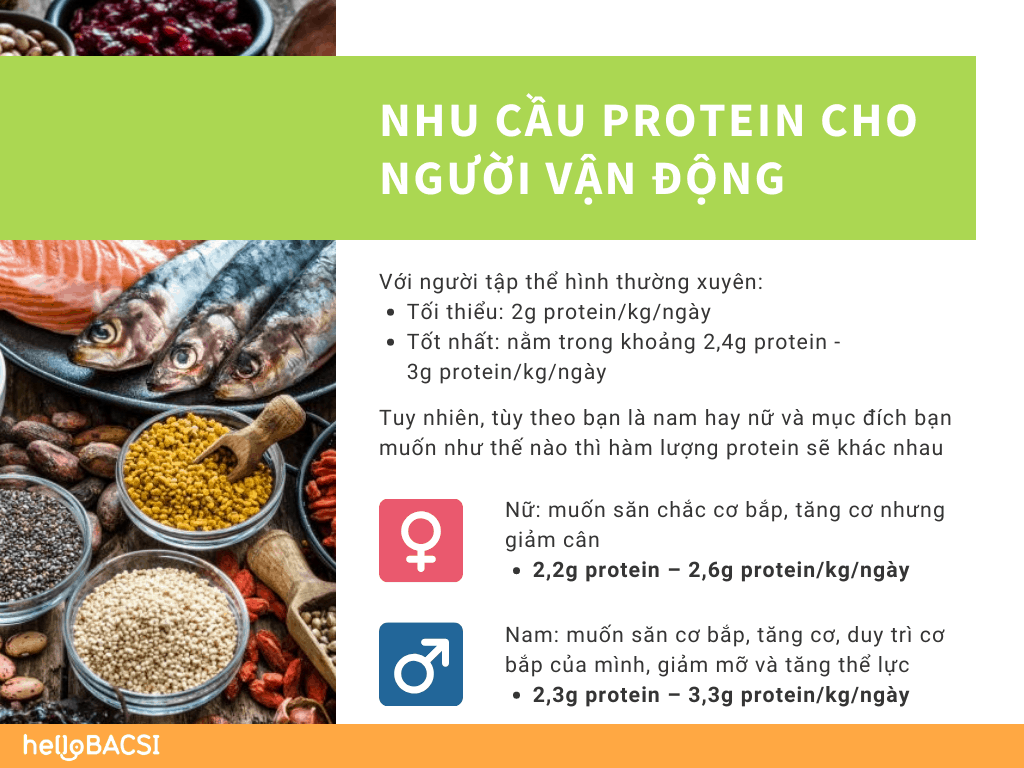 Nhu cầu protein cho người vận động