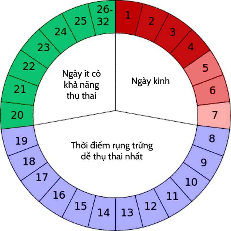 Quan hệ ngày rụng trứng