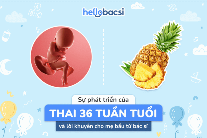 Thai nhi 36 tuần nặng bao nhiêu? Những điều mẹ bầu cần lưu ý