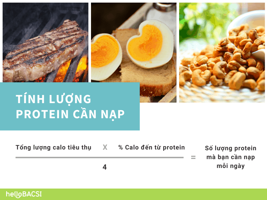 Tính lượng protein cần nạp