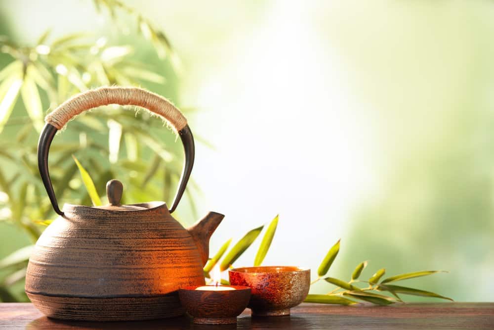 Bất ngờ với 7 tác dụng cây đinh lăng mang lại cho sức khỏe